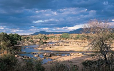 Ruaha National Park