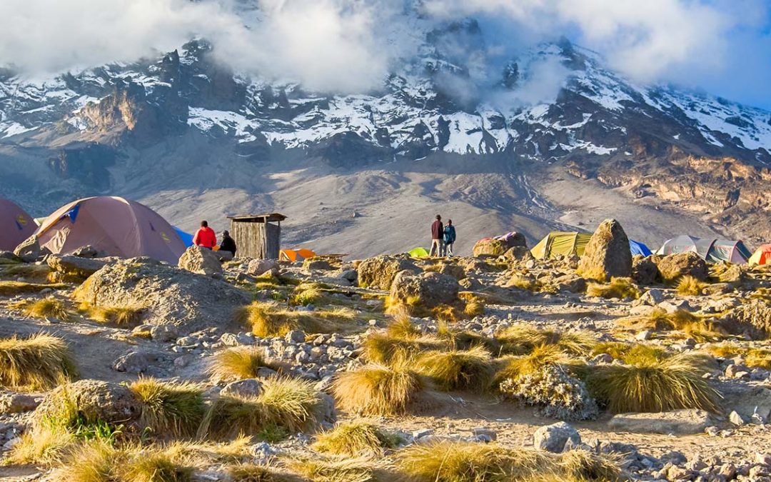 Kilimanjaro successfull Trekking Tips