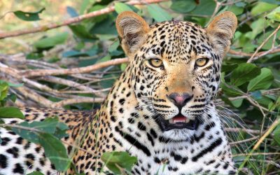 Serengeti National Park